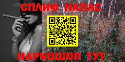индика Нягань