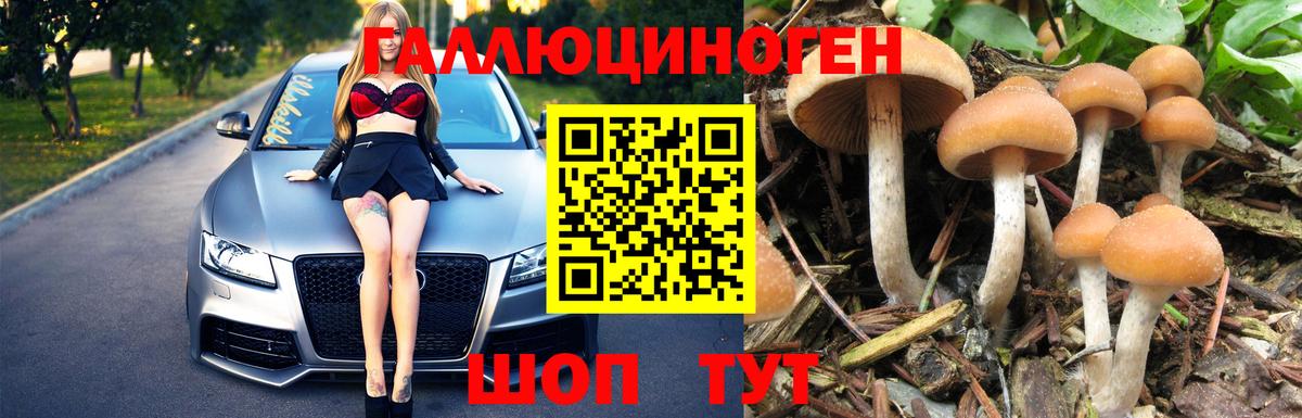 Ярославль  Галлюциногенные грибы мухоморы  Псилоцибиновые грибы мухоморы  Вход с VPN 