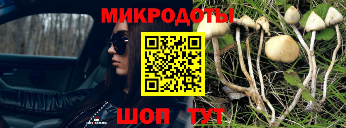 Галлюциногенные грибы прущие грибы Ярославль